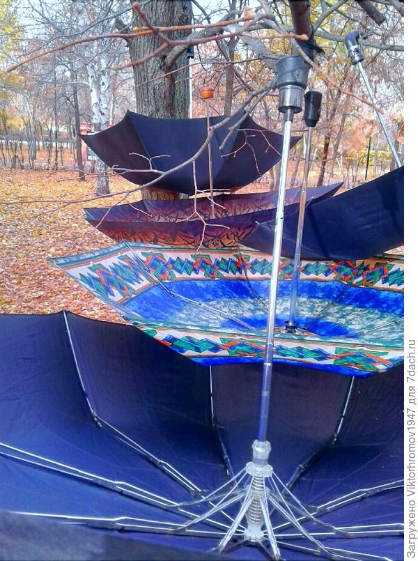 по просторам...по просторам...