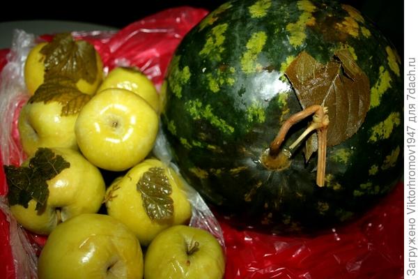 Бочковой солёный арбузик и мочёные яблочки
