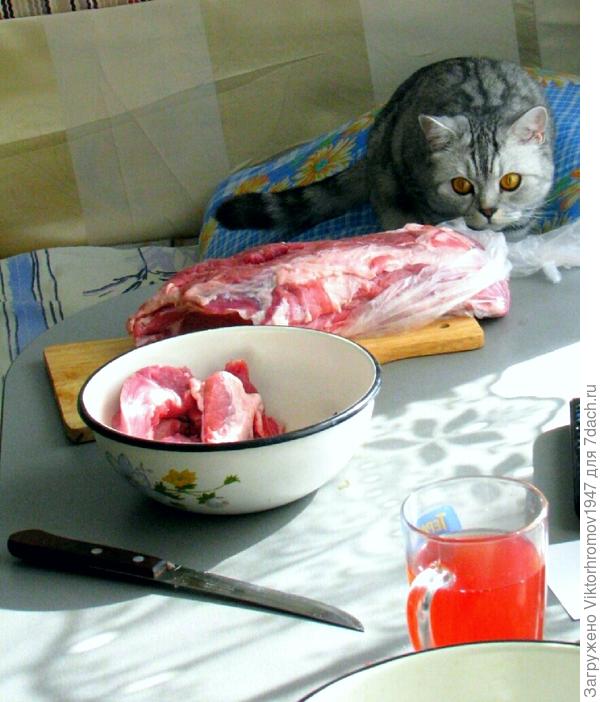 Большой не донесу...наверное.