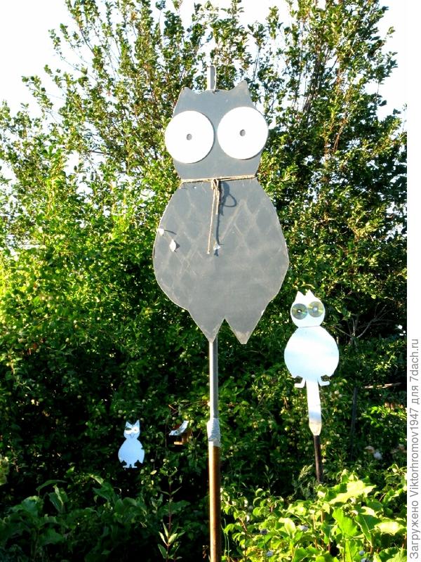 Задорные совята!