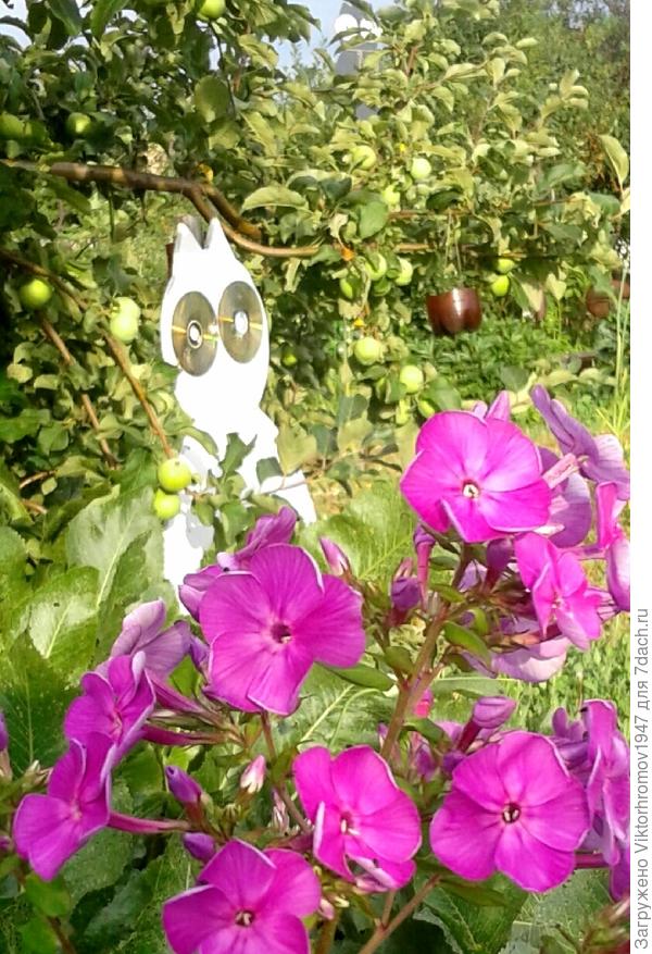 С удовольствием полетим во Францию!