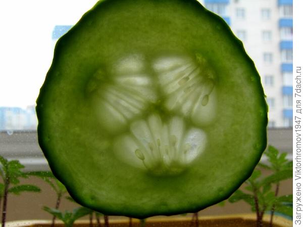 На семена не брать!