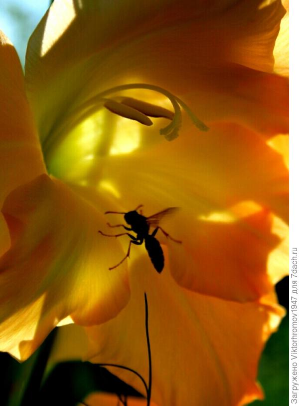 Всего хорошего! Удачи!