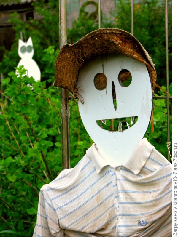 Почти бесплатно. Донашивает мои вещи и кушать не просит...