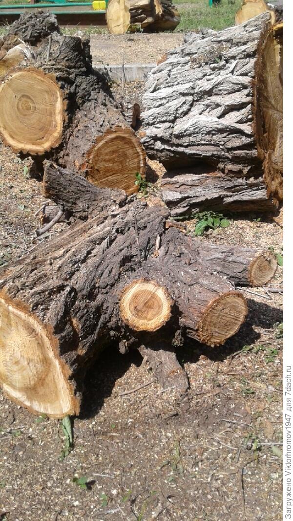 Попробуй...Разруби!