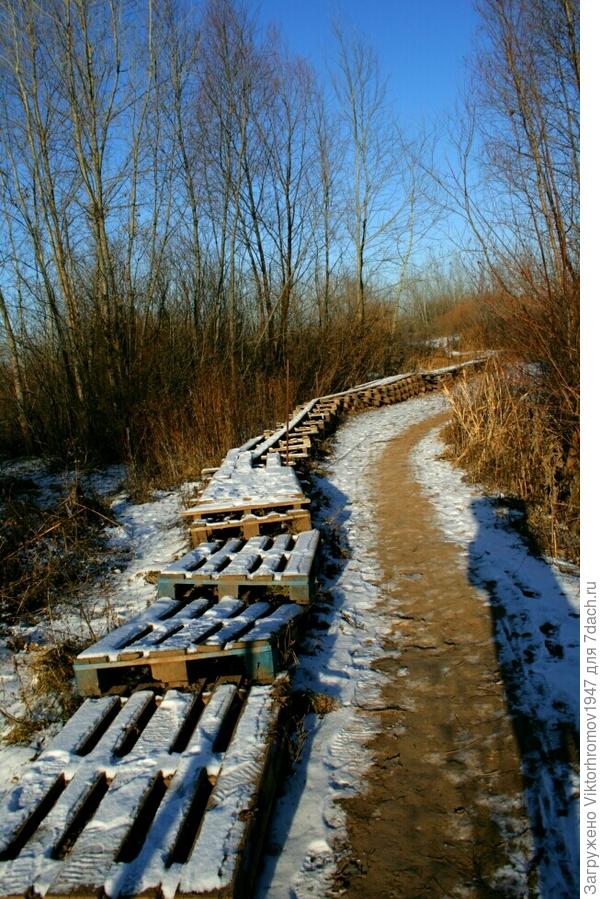 Тропинка на дачу.