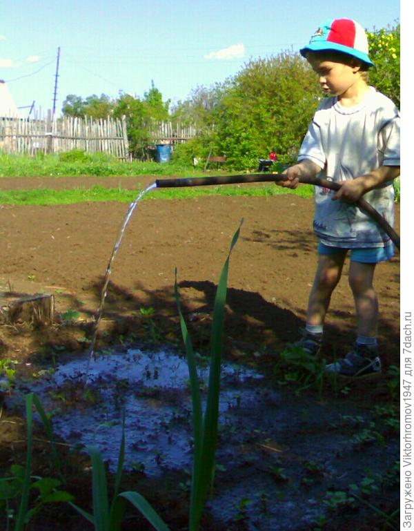 Поливающий.