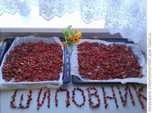 Что то с памятью моей стало...