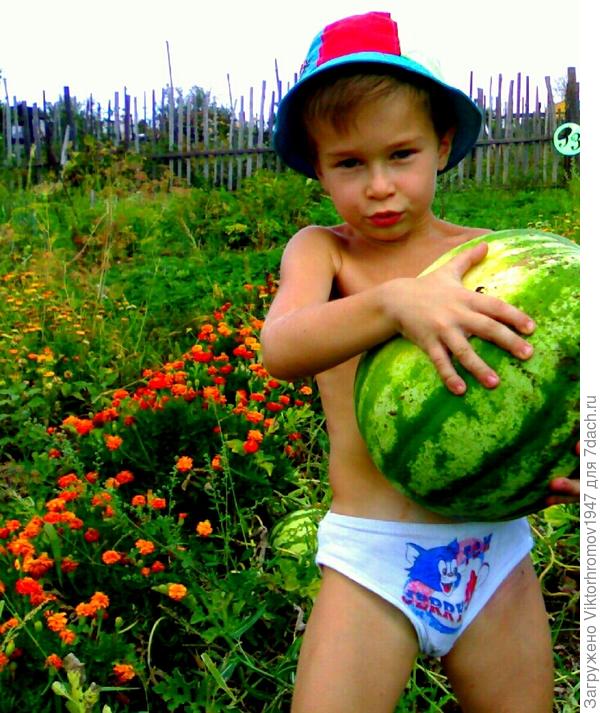 Арбуз!