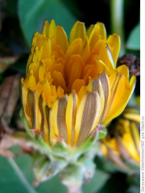 Разве не похож...