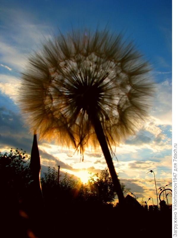 Бывало хуже...