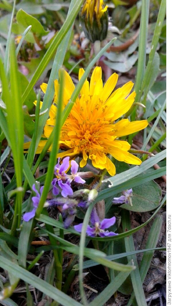 Будем дружить!