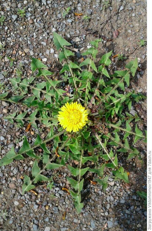 Посмотрите и улыбнитесь... ВСЁ!