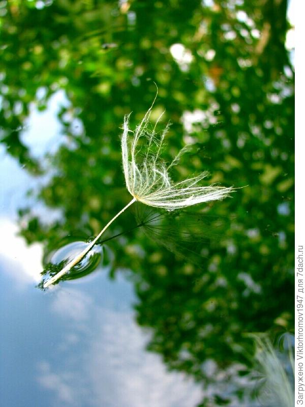 Полетал, теперь поплаваю...