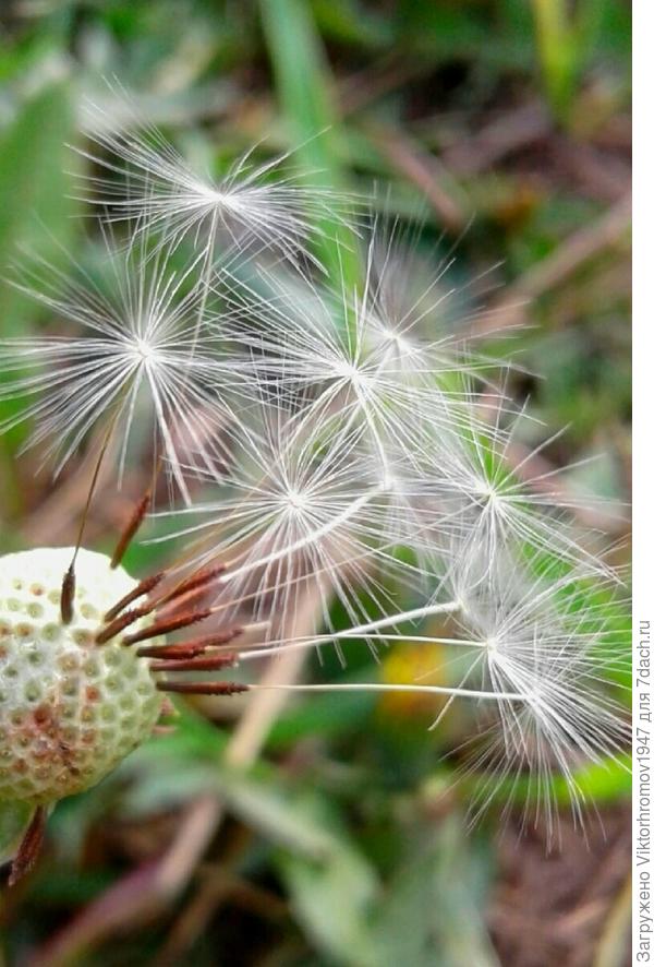 Первомайский сюрприз!