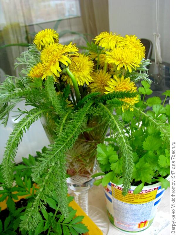 Стало веселее!