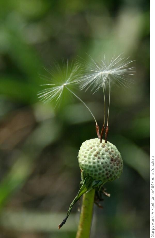 ПРОДЕРЖИМСЯ до утра...