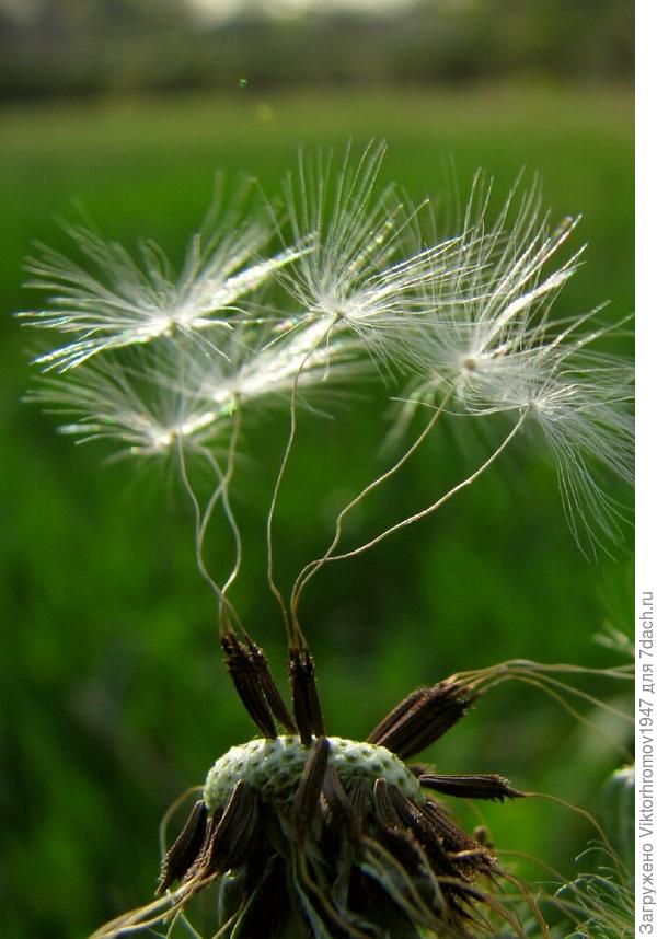 ТАНЦУЕМ ВСЕ...