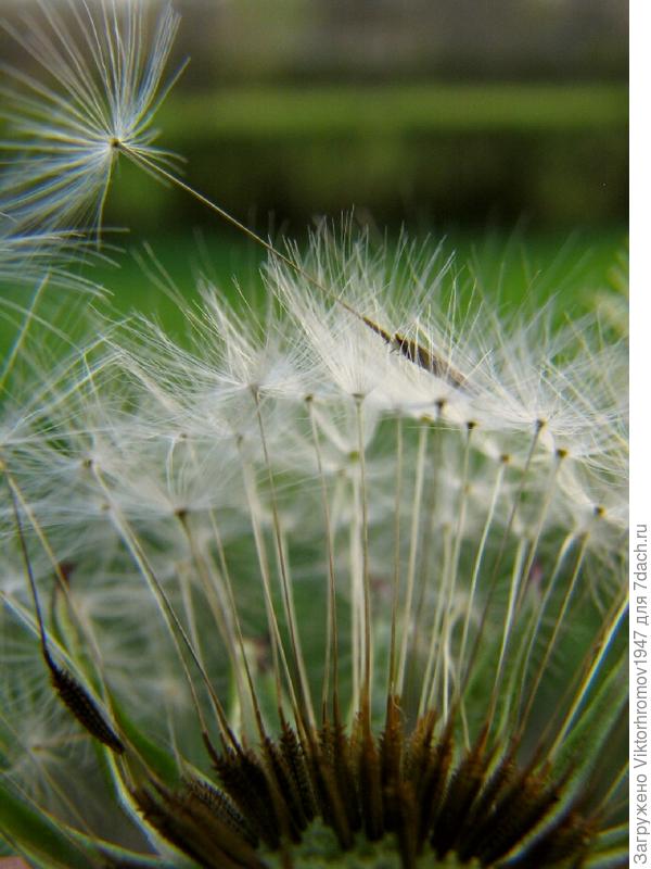 С ДНЁМ РОЖ ДЕНЬ Я!