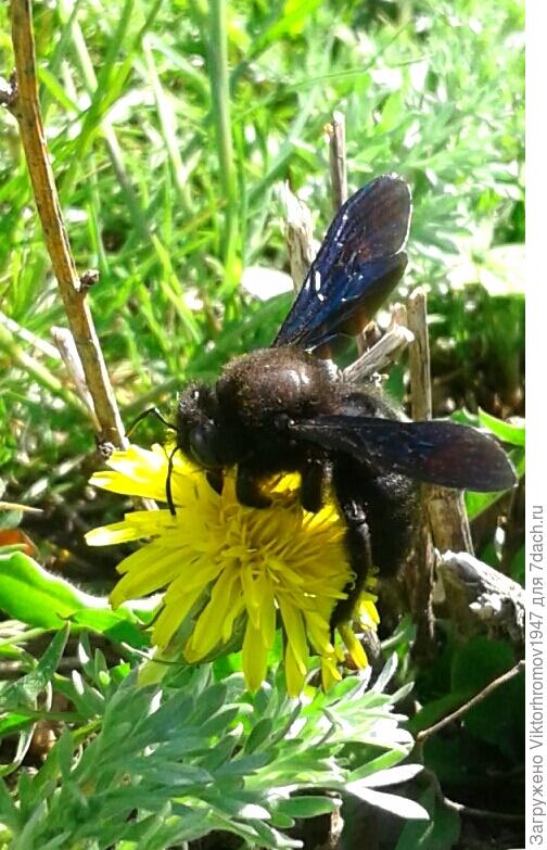 Я не могу иначе!