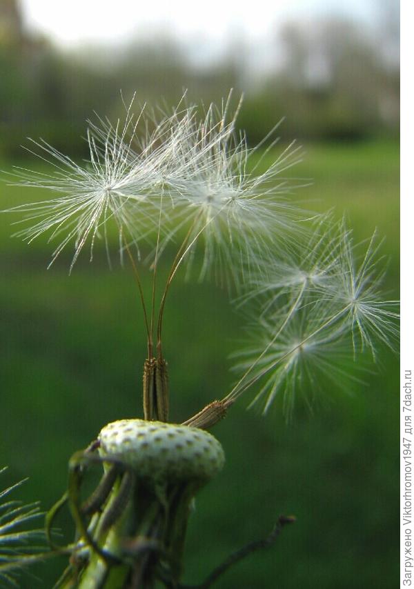 ВЕЧЕРОМ, ВСТРЕЧАЕМСЯ ЗДЕСЬ!