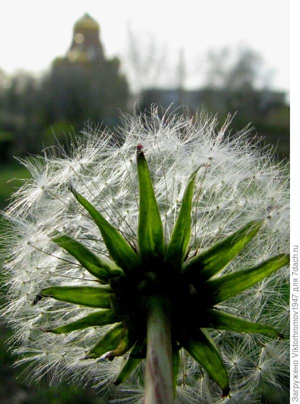 С РАССВЕТОМ...