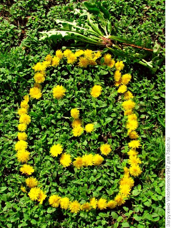 Для всеобщего настроения!