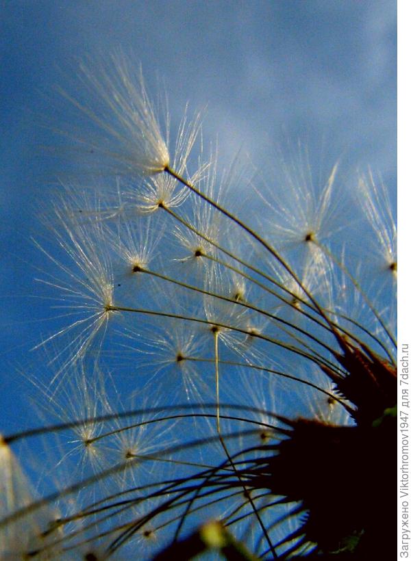 НЕТ ПЛОХОЙ ПОГОДЫ...