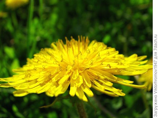 ЛЕТАЮЩИЙ ОБЪЕКТ...