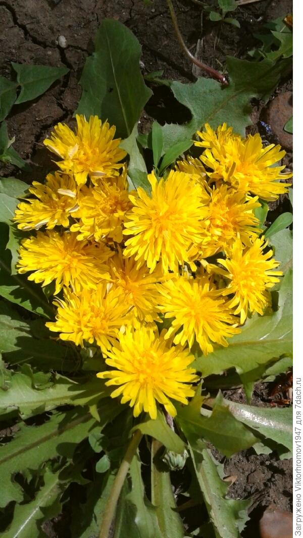 К ДНЮ ПОБЕДЫ!