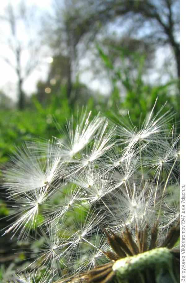 В стадии разработки.