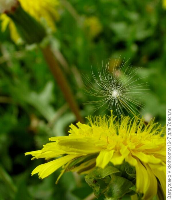 ДАЛЕКО УЛЕТАТЬ!