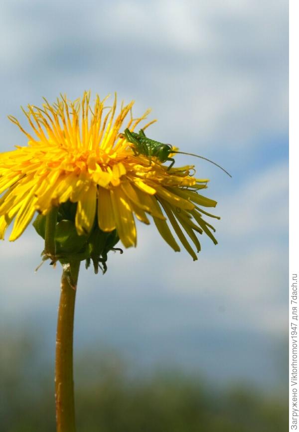 И РАДОСТНЫМ ОН БЫЛ...