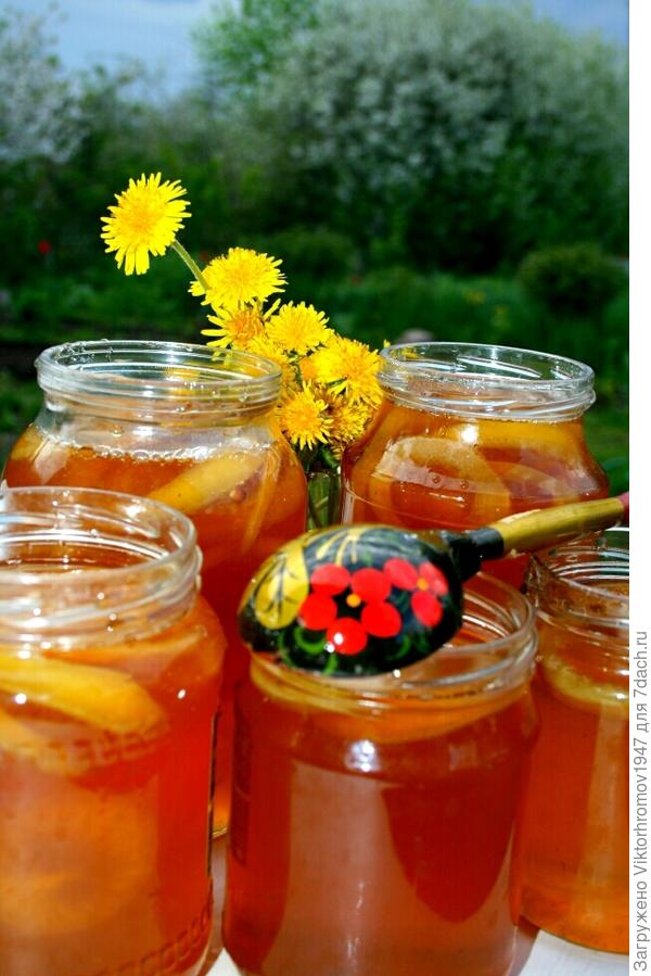 ОДУВАНЧИКОВ...