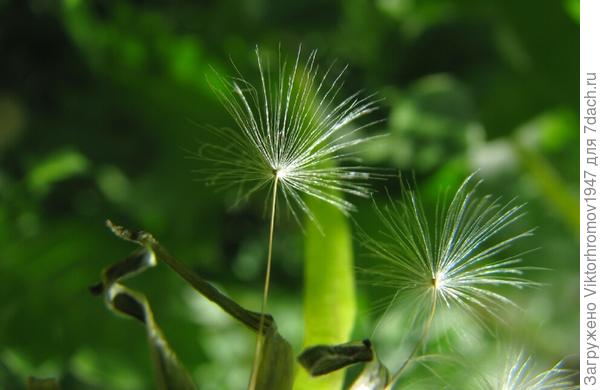 И мы ...ПОЛЕТИМ в новую жизнь!