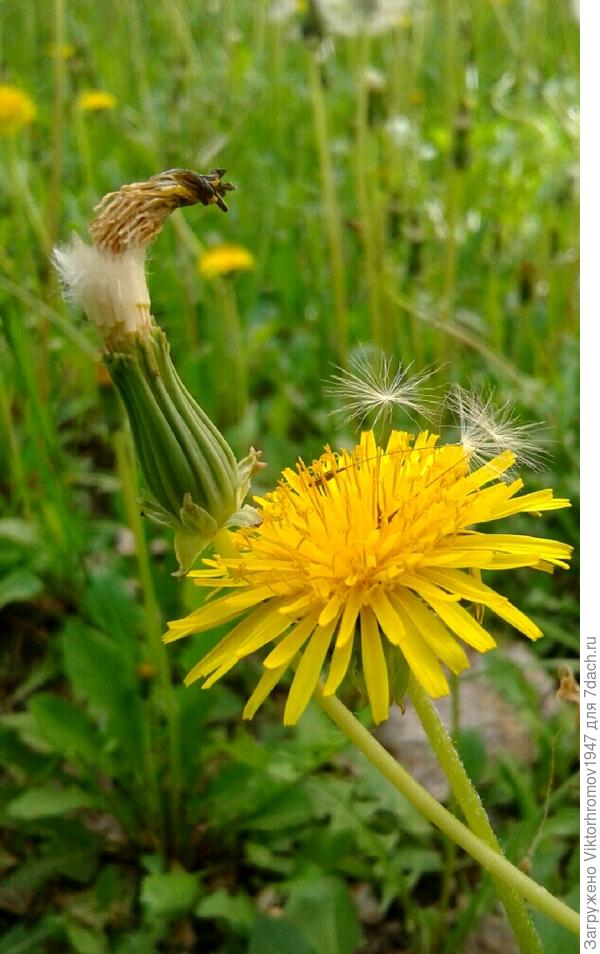 Или я другой?