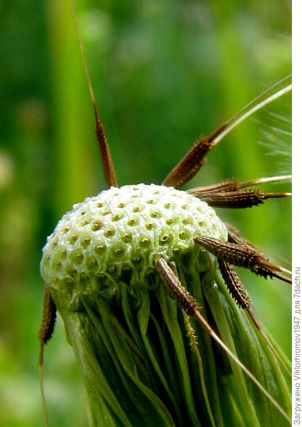 Будем ЗИМОВАТЬ на месте!