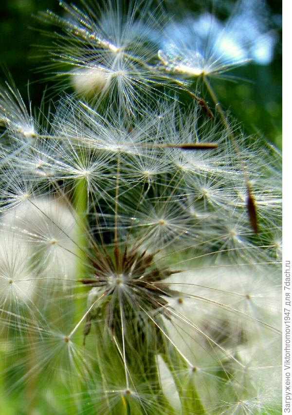 ПОЛЁТ РАЗРЕШЁН