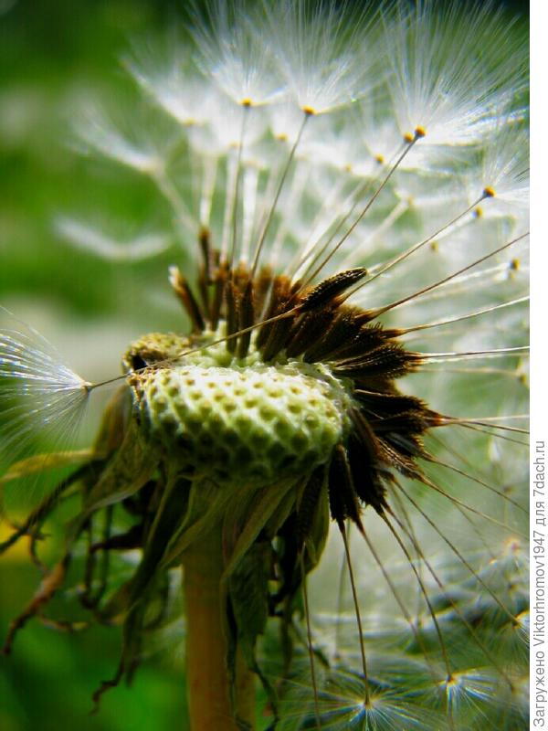 СЧАСТЛИВЫЙ ВЕТЕР!