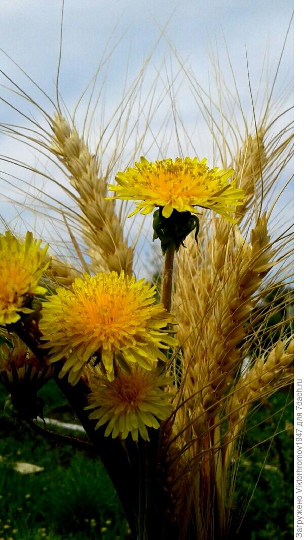 НЕПОБЕДИМА