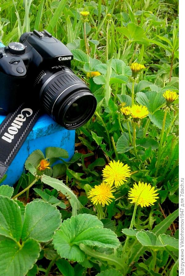 Лопата. Грабли. ФОТОАППАРАТ.