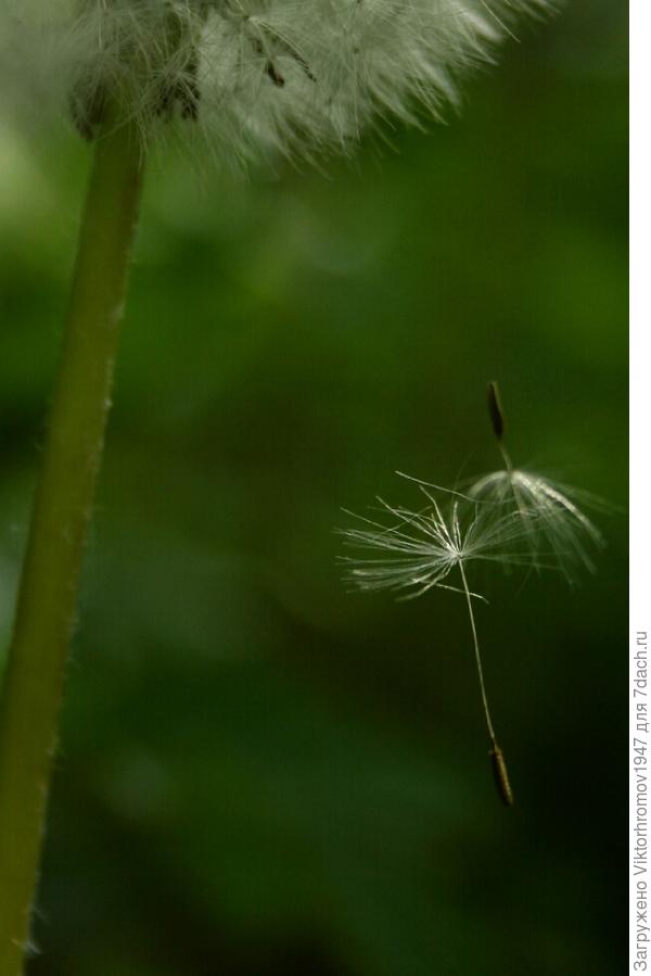 ОБЯЗАТЕЛЬНО ДОЛЕТИМ!