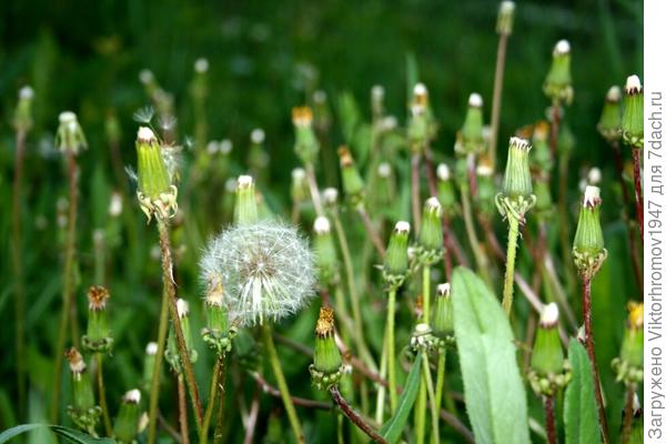 ЧТО ДЕНЬ ГРЯДУЩИЙ НАМ ГОТОВИТ...