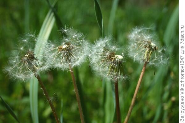 ВЫБЕРИ МЕНЯ!...