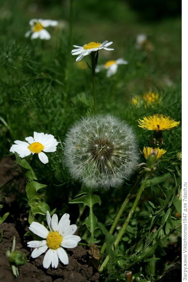 ВЕСЁЛЫЙ УГОЛОК...