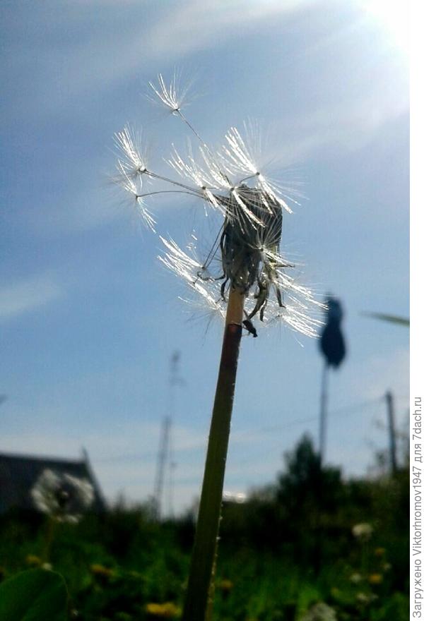 ДАЛЕКО СЕГОДНЯ УЛЕТИМ!...