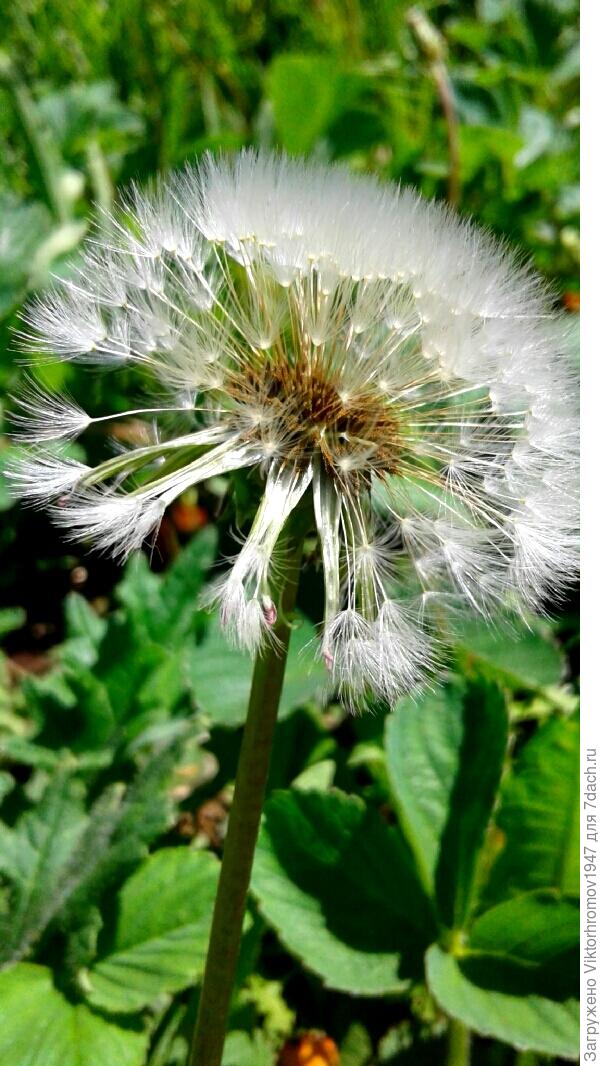 МОДНЫЙ ПРИЧЕСОН