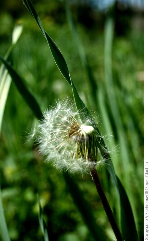 Крутиться, как ВЕРЕТЕНО...