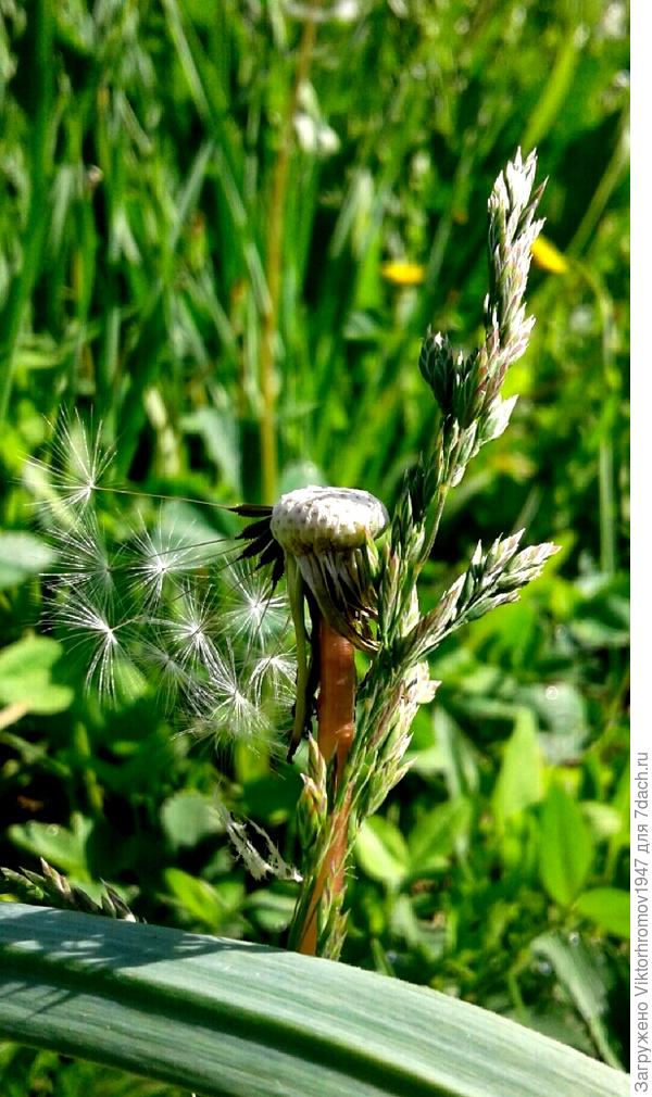 ОТ ТЕМНА ДО ТЕМНА...