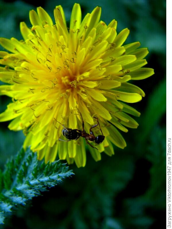 УТРО НАЧИНАЕТСЯ КРАСИВО!...